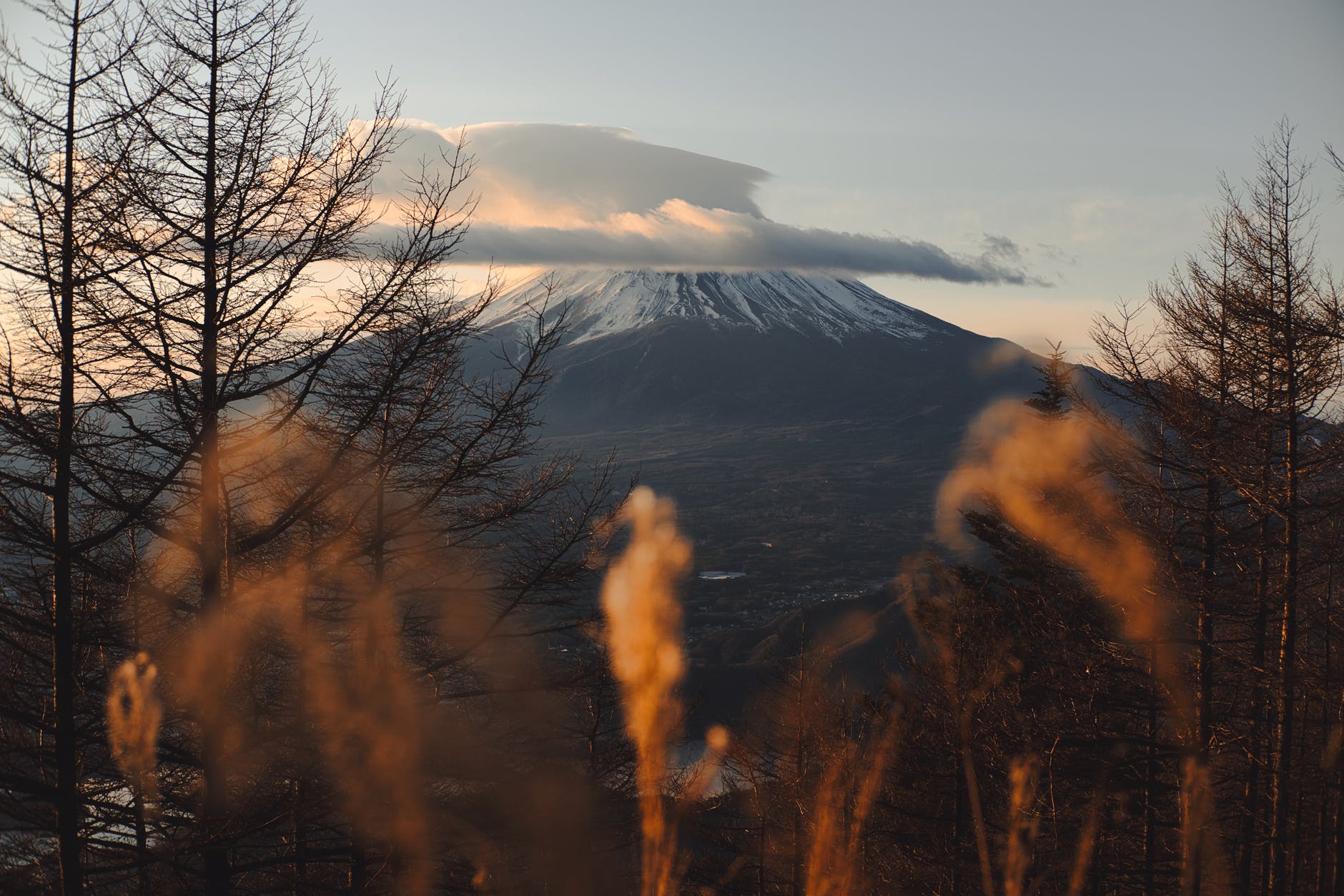 landscape of mount fuji