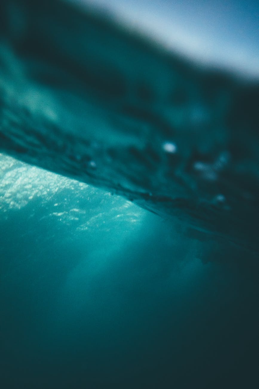 split shot photo of the ocean