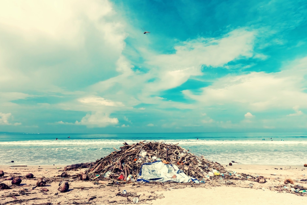 photo of trash lot on shore