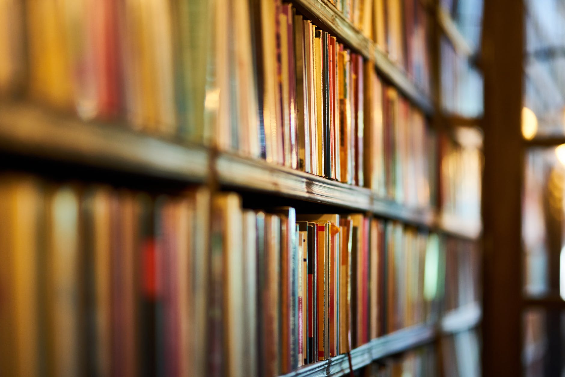 selective focus photography of brown wooden book shelf