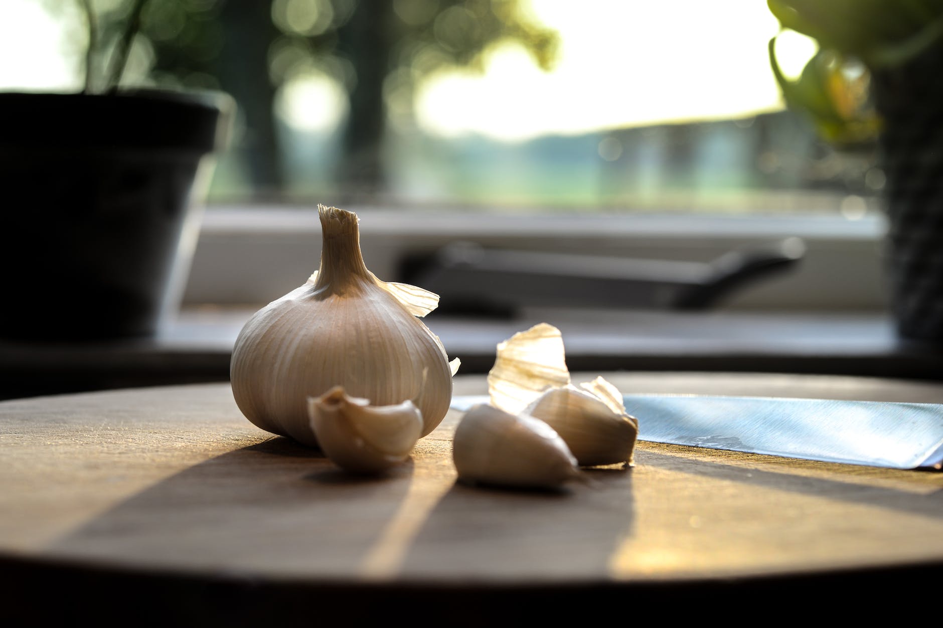 photography of garlic on wooden table